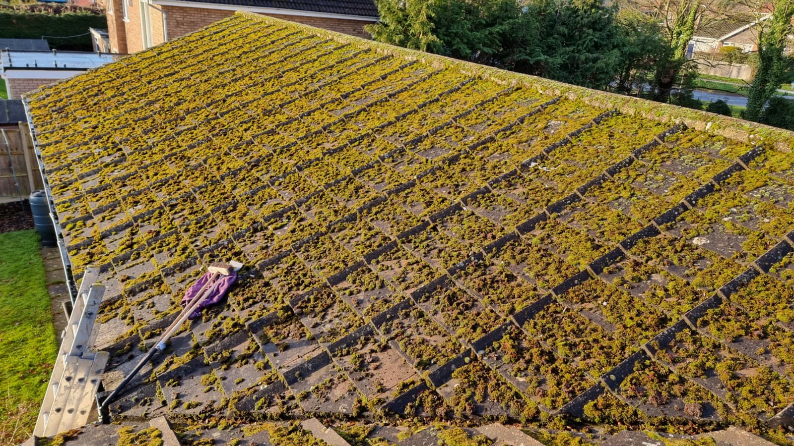 Homestead Roofing Project 1