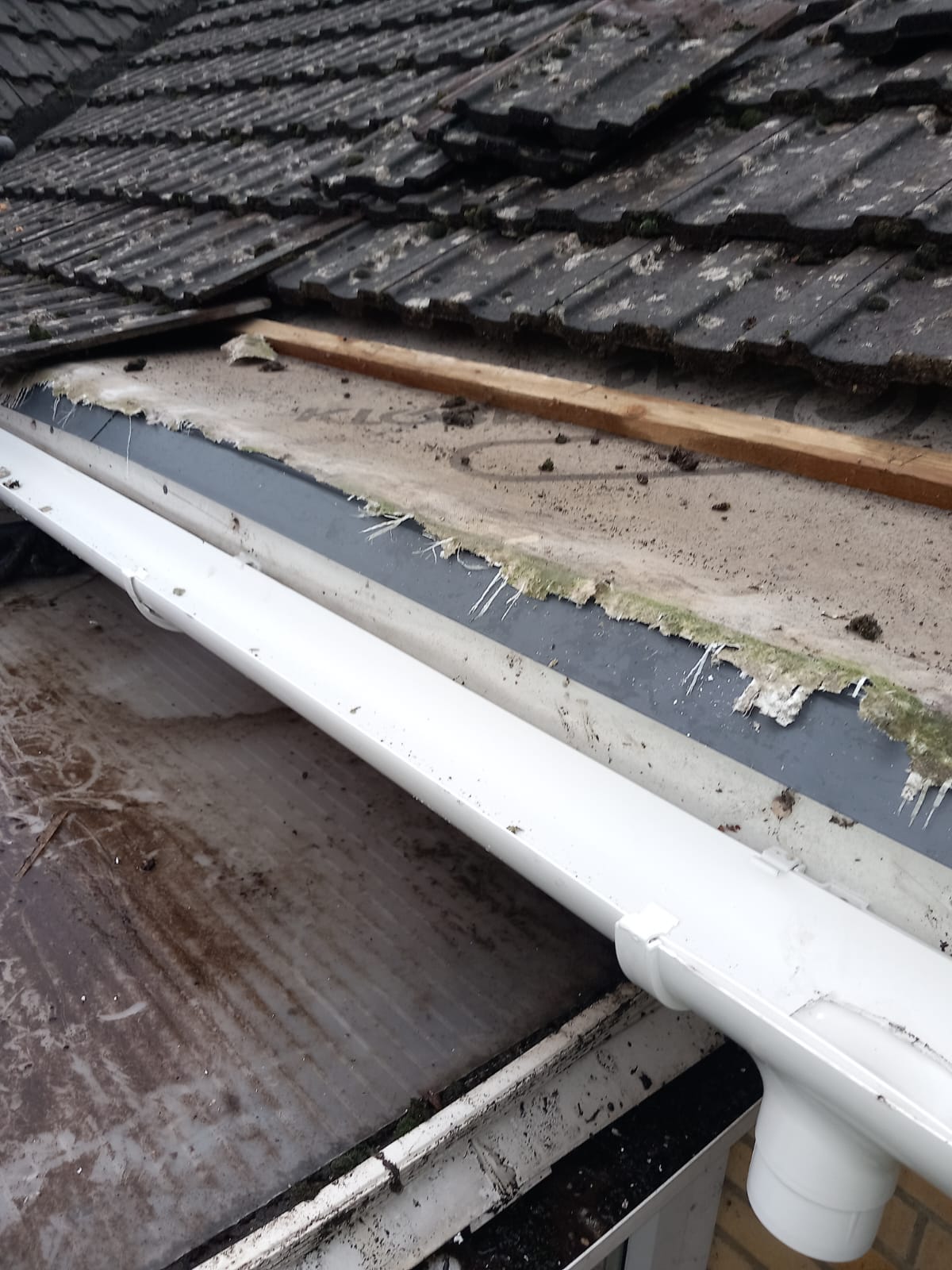 Homestead Roofing Project 18