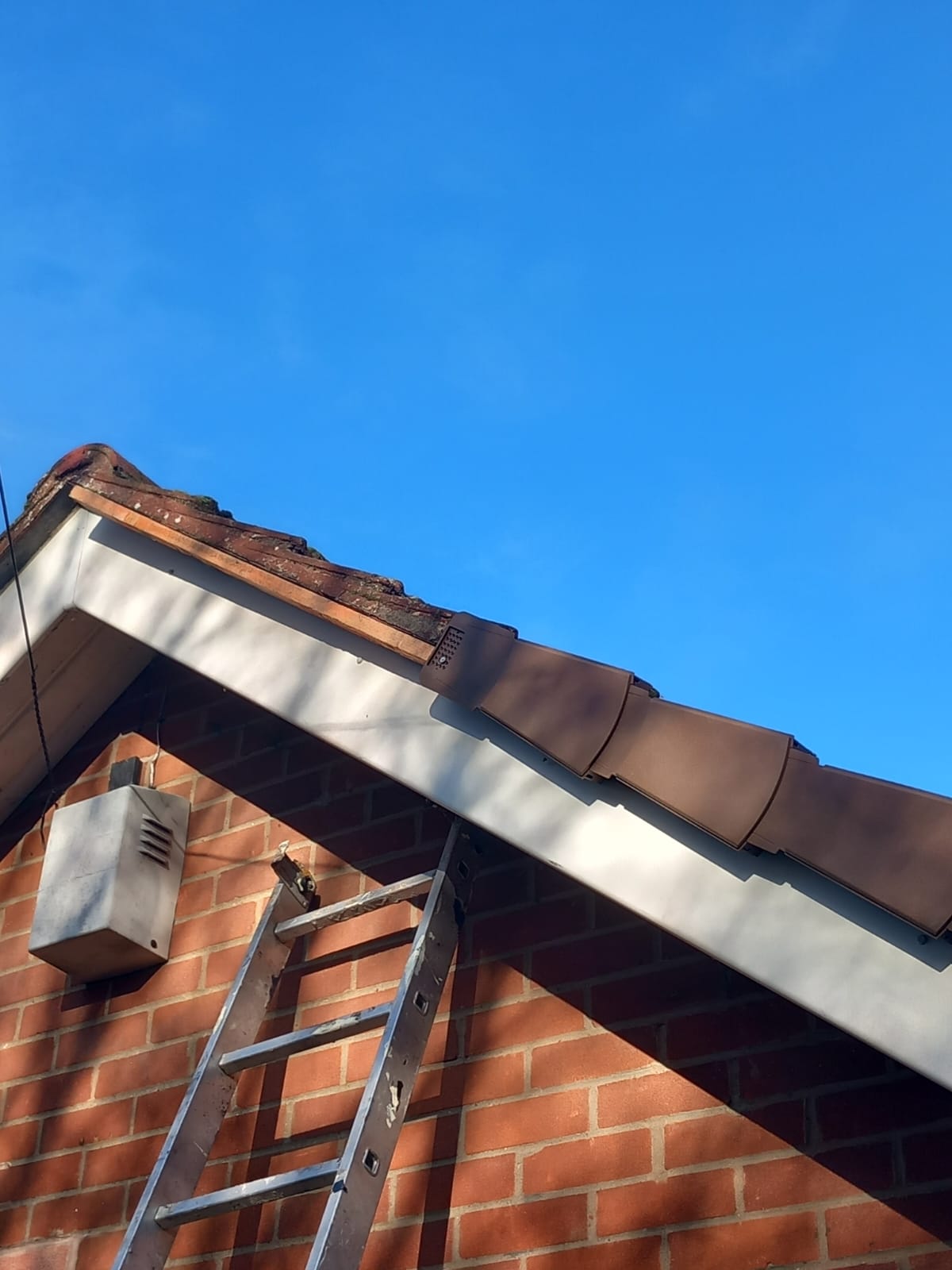 Homestead Roofing Project 34