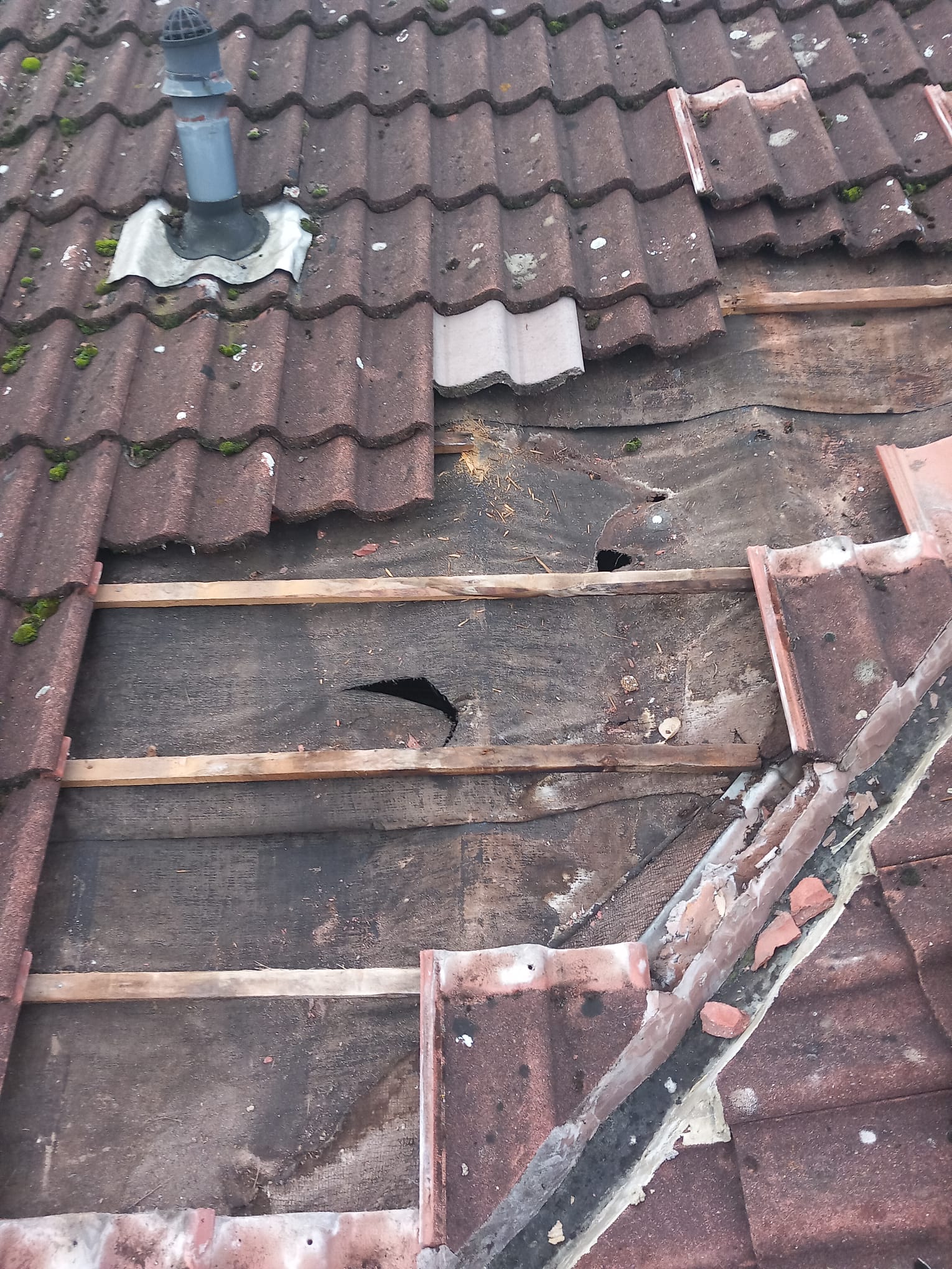 Homestead Roofing Project 57