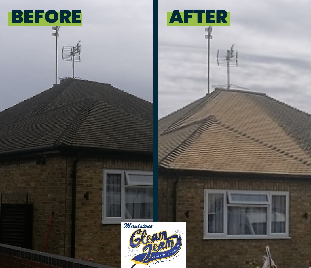 Roof Cleaning & Moss Removal - Image 3