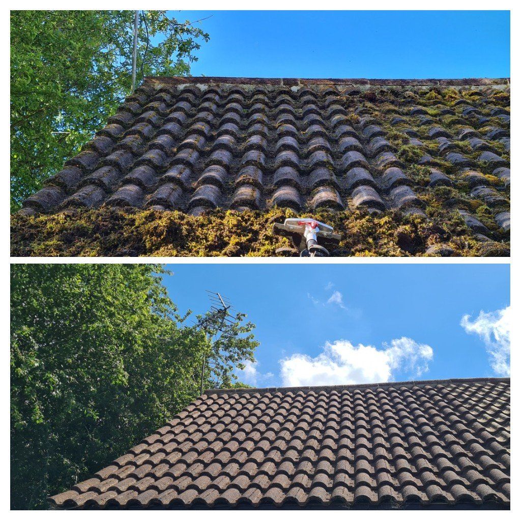 Roof Cleaning & Moss Removal - Image 4